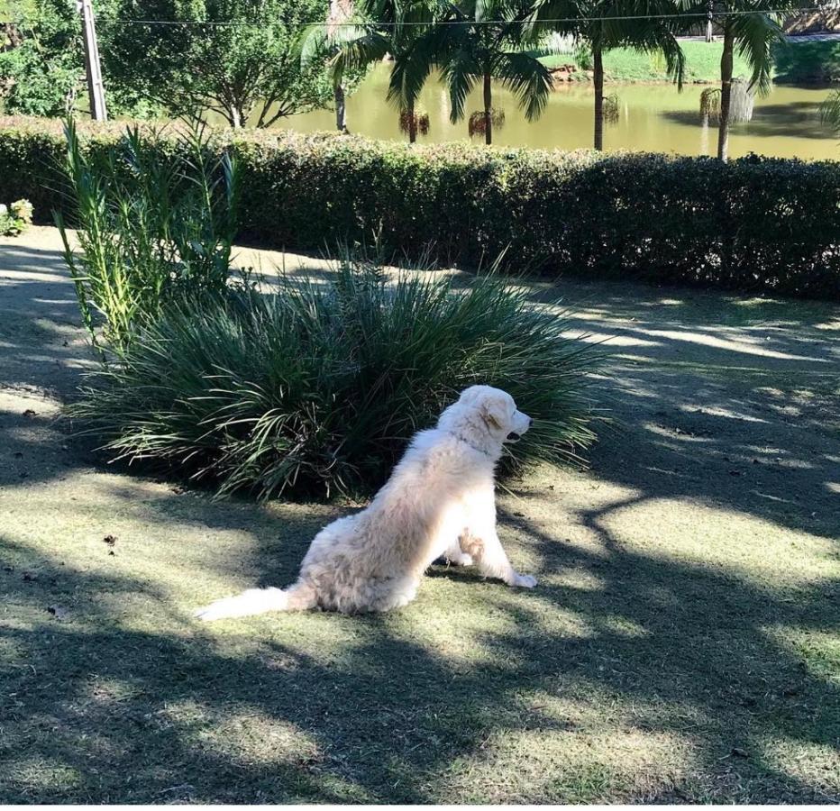 Natal e ano novo e férias na Casa maravilhosa da serra casa inteira Villa Teresópolis Esterno foto