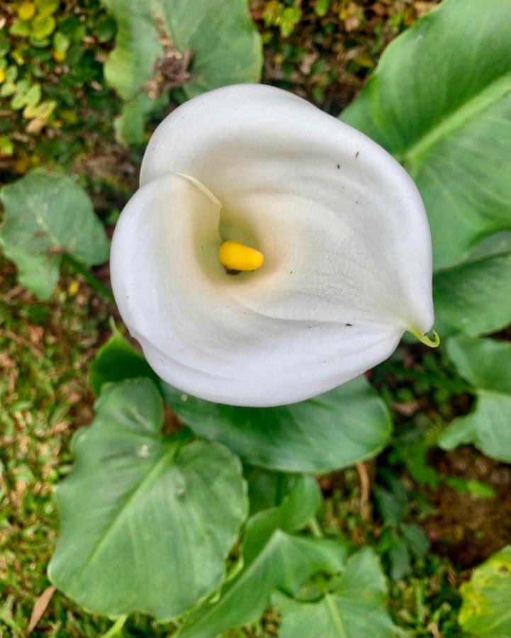 Natal e ano novo e férias na Casa maravilhosa da serra casa inteira Villa Teresópolis Esterno foto