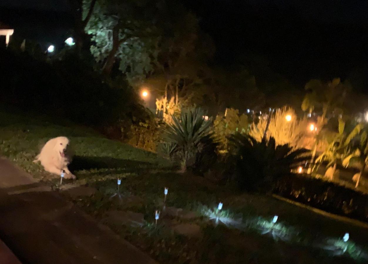 Natal e ano novo e férias na Casa maravilhosa da serra casa inteira Villa Teresópolis Esterno foto