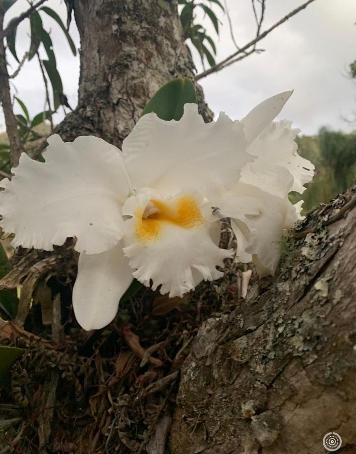 Natal e ano novo e férias na Casa maravilhosa da serra casa inteira Villa Teresópolis Esterno foto