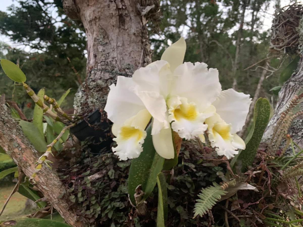 Natal e ano novo e férias na Casa maravilhosa da serra casa inteira Villa Teresópolis Esterno foto